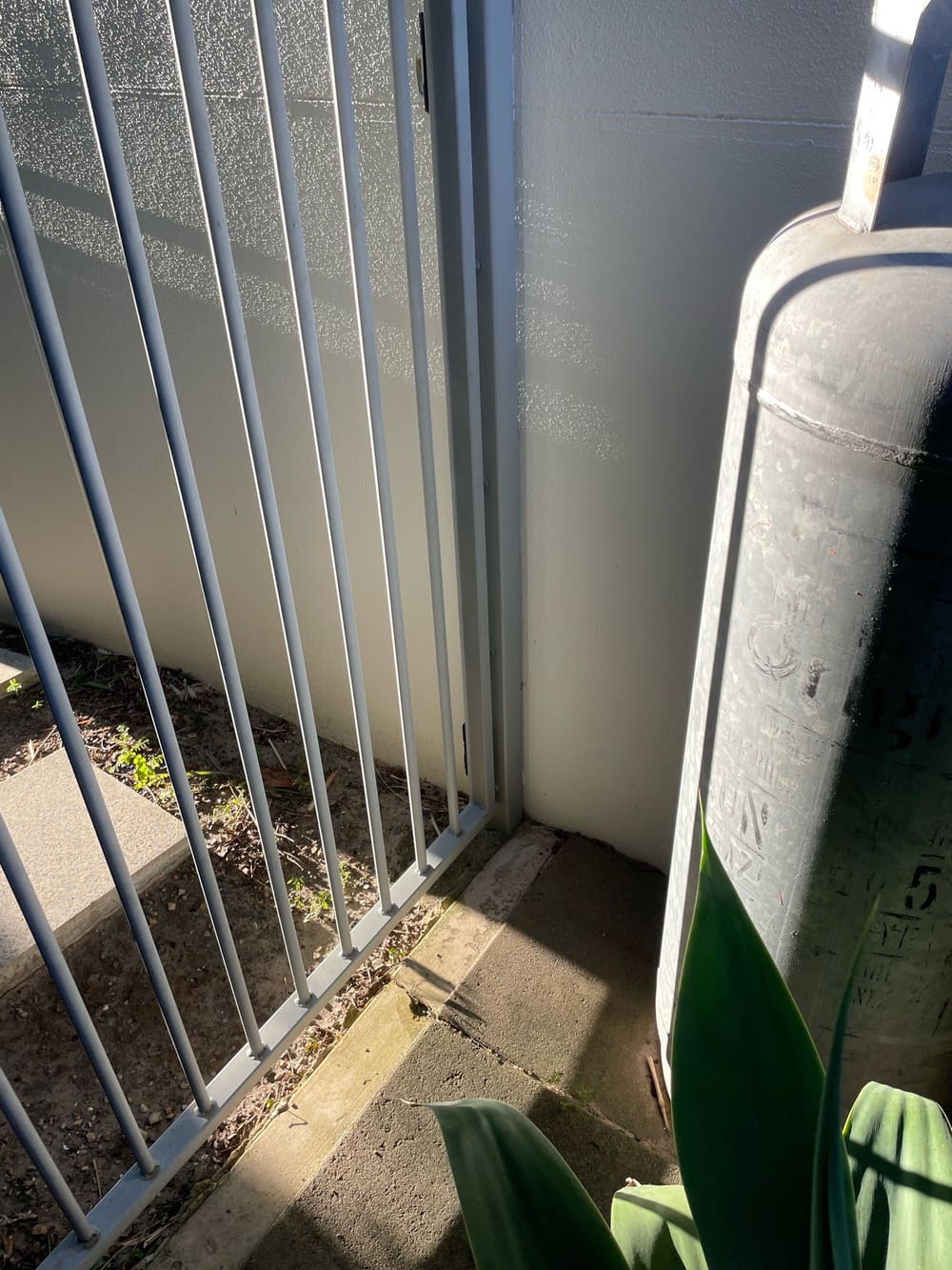 Bridging, recorded during a building and pest inspection in Paradise Point