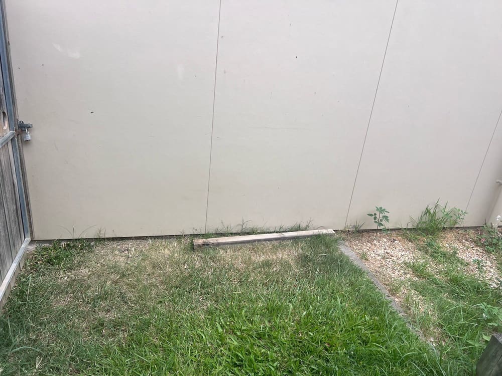Concealed entry points, recorded during a building and pest inspection in Bahrs Scrub