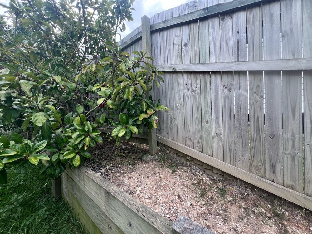 Conducive conditions, recorded during a building and pest inspection in Bahrs Scrub
