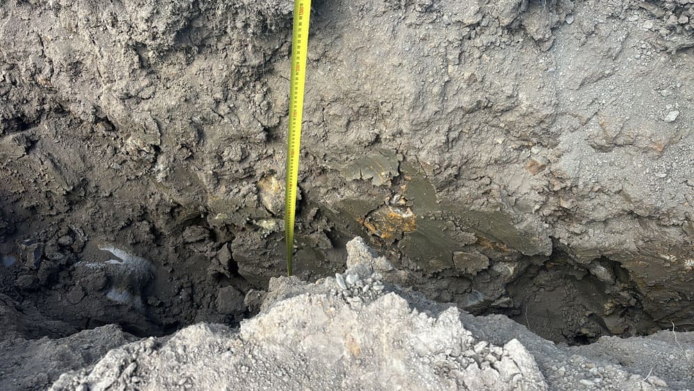 Depth of piers type 2, recorded during a bored pier inspection in Gisborne