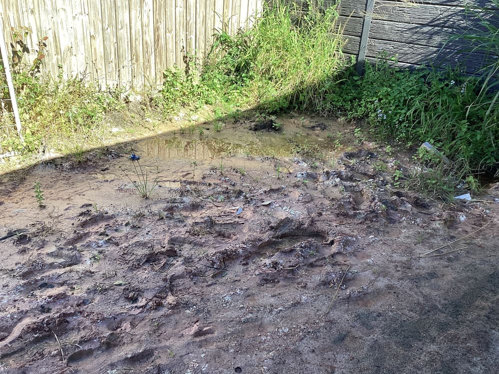 Drainage, recorded during a building inspection in Burpengary