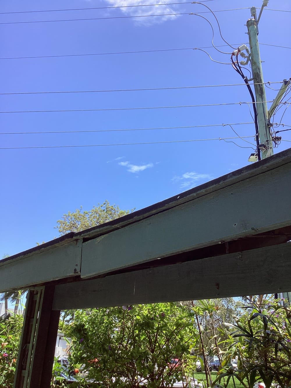 QCAT Expert Witness Reports in Morayfield