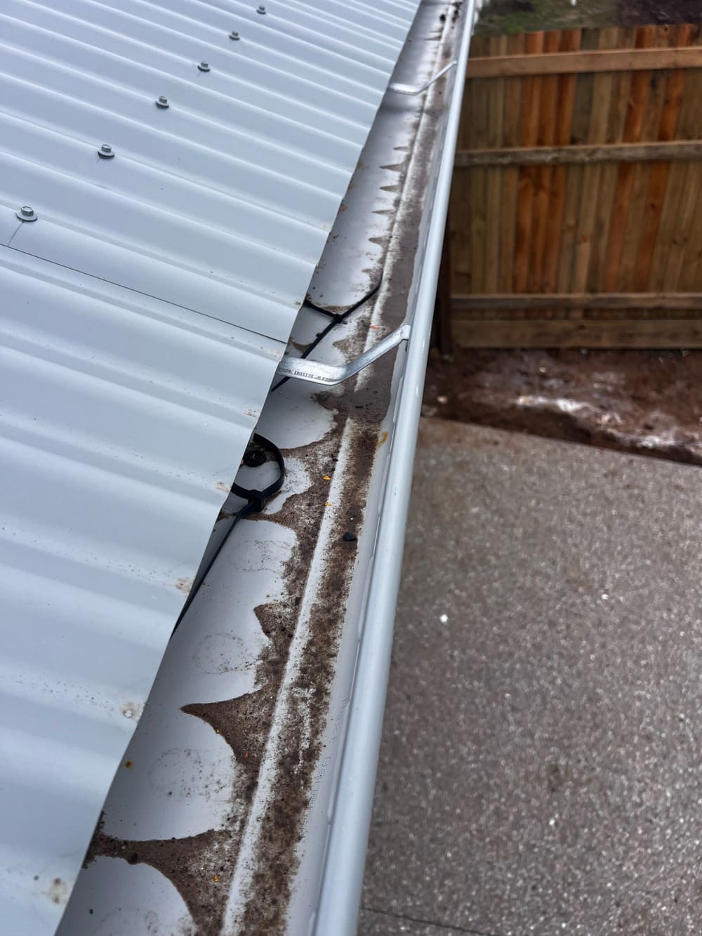 Remove debris, recorded during a pre-purchase inspection in Morayfield